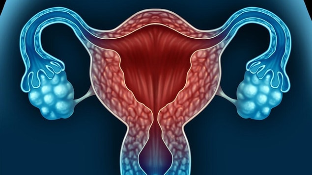 Östrojen Hormonu Nedir?