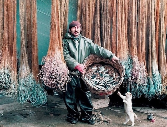 21. Balıkçı ve kedi, İstanbul, 1970.