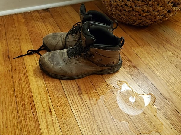 10. "Günaydın, işe geç kalmam yetmiyormuş gibi kedim botlarıma işedi."