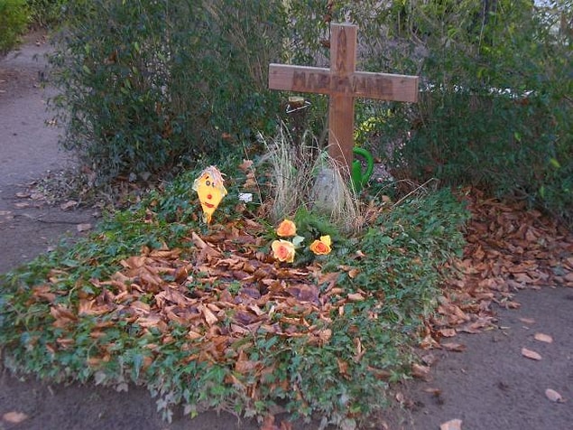 Anna Bachmeier ve annesi Marianne'in 2008 yılında Lübeck'teki Burgtorfriedhof'taki mezarı.
