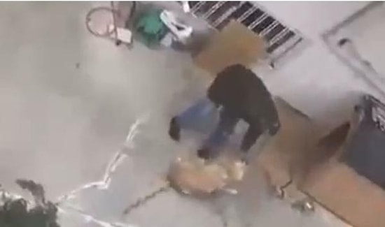 Köpeğe Şiddet Uygulayan Adam Görüntüler Sosyal Medyada Paylaşılınca Gözaltına Alındı