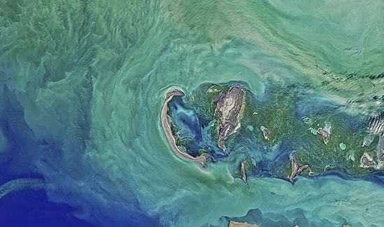 Dünyanın En Büyük Gölü Nerededir?