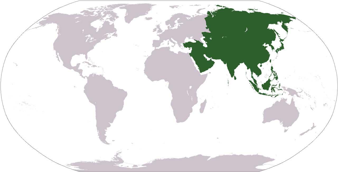 Asya Kıtası Nerededir? Asya Kıtası Ülkeleri Hangileridir?