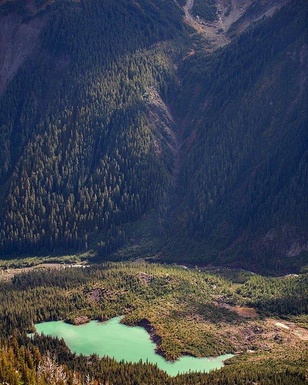 9. Mount Rainier Ulusal Parkı  - Washington: