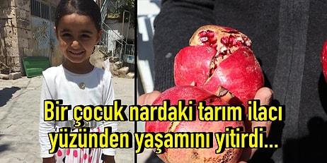 AB Ülkelerinde Yasak Olan Pestisitler Türkiye'de Masum Bir Çocuğun Canını Aldı, Çözüm İçin Neyi Bekliyoruz?