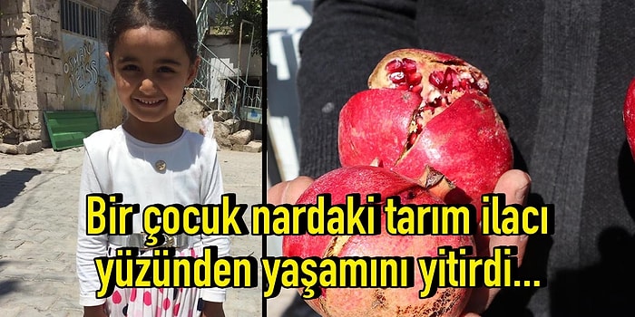 AB Ülkelerinde Yasak Olan Pestisitler Türkiye'de Masum Bir Çocuğun Canını Aldı, Çözüm İçin Neyi Bekliyoruz?