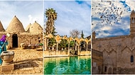 "Şanlıurfa'da Nereye Gidilir?" Sorusunun Cevabı: Şanlıurfa'ya Gittiğinizde Mutlaka Görmeniz Gereken 21 Yer