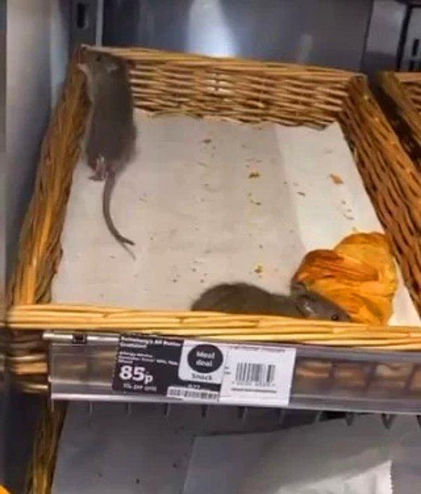Anthony Mitson isimli müşteri Sainbury's süpermarket zincirinin bir şubesinde kruvasanların üzerinde serbestçe dolaşan iki farenin korkutucu görüntülerini paylaştı.