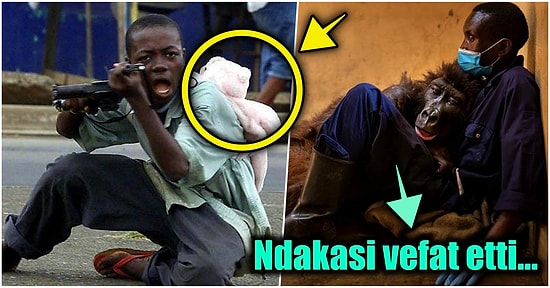 Gördüğünüz Anda Yaşadığınız Hayatı Sorgulatıp Şaşırma Kotanızı Bugünlük Dolduracak 15 Enteresan Gerçek