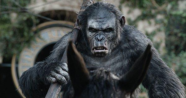 15. Dawn of the Planet of the Apes (2014)