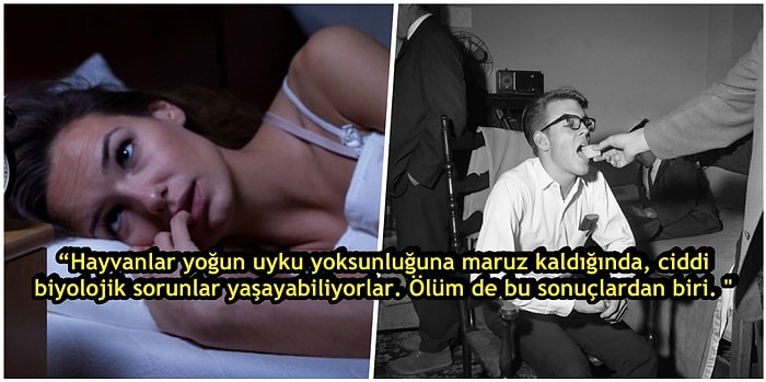 Çok Şey Söylendi Ama Muhtemelen Çoğu Yanlıştı: Günde Kaç Saat Uyumalısınız?