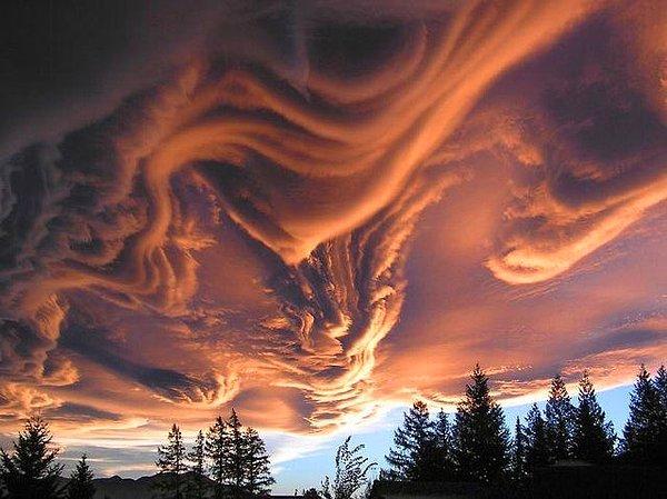 5. Yeni Zelanda'daki Asperatus bulutları: