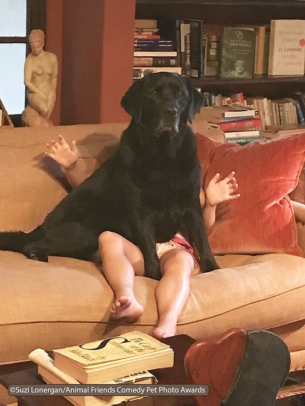 «Наша внучка дала команду сесть. Бо очень послушен».