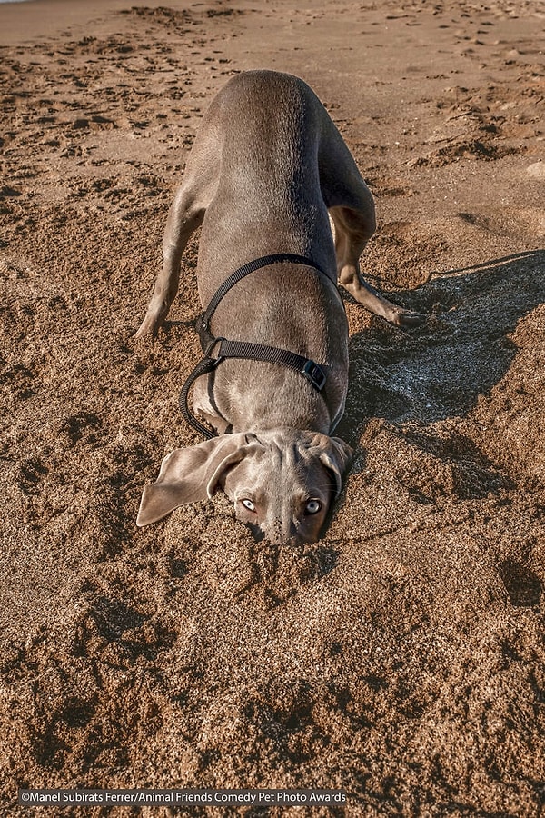 Игра в Прятки по версии маленькой Нуки