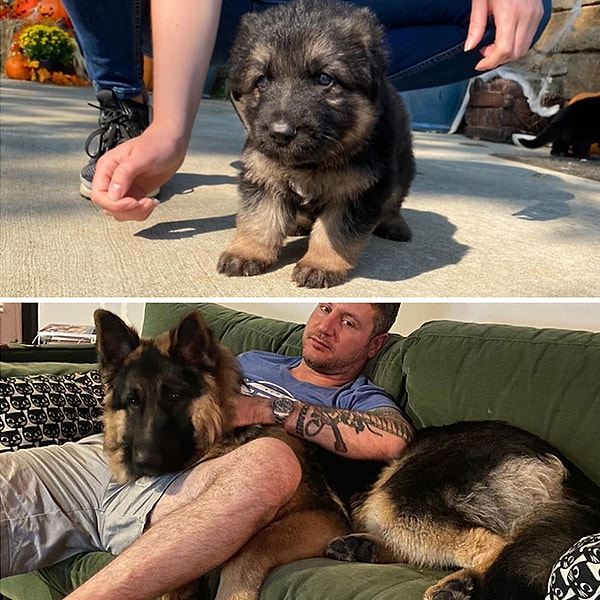 17. Моя жена сказала, что он не вырастит настолько, но он вырос