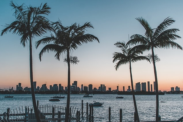 Miami denildiğinde akla ilk gelen şey renkli gece hayatı ve şehrin ünlü kumsalları oluyor. Amerika'nın gözde turizm merkezi olan Miami eğlencenin ve lüksün durak noktası.