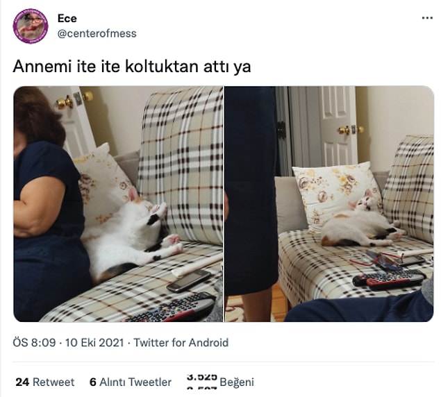 8. Kediler neden böylesiniz?