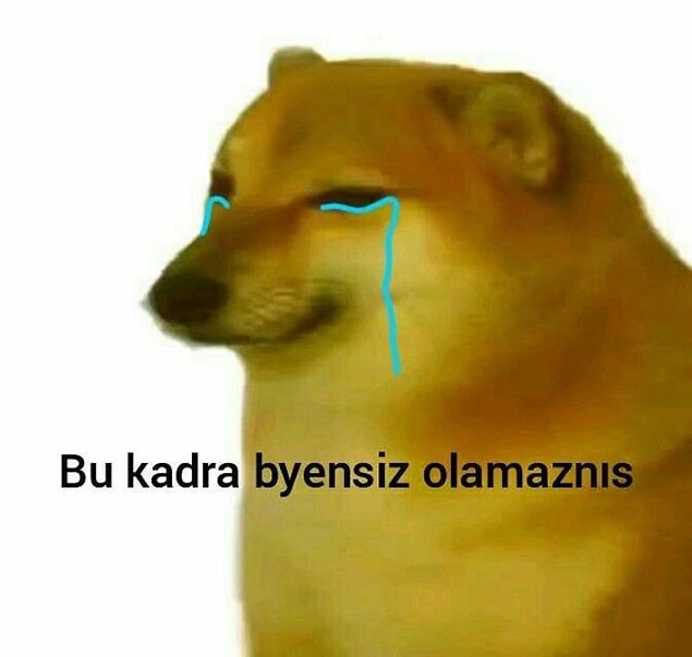 Burcuna göre seni temsil eden meme: