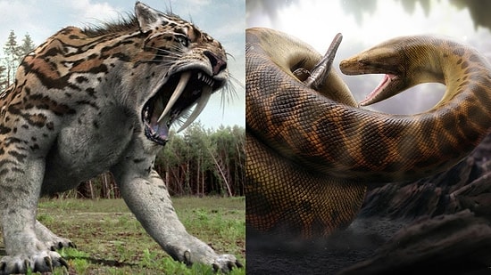 Yaşasalardı İnsanlığın Sonunu Getirebilecek 15 Tehlikeli Canlı