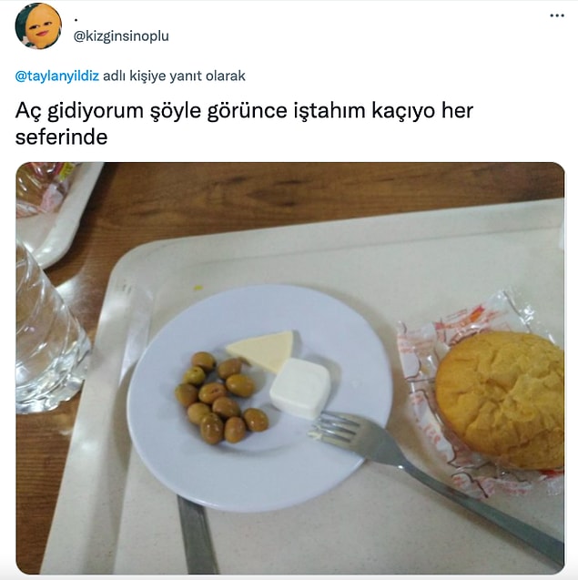 İştahının kaçması çok normal, üzülme.