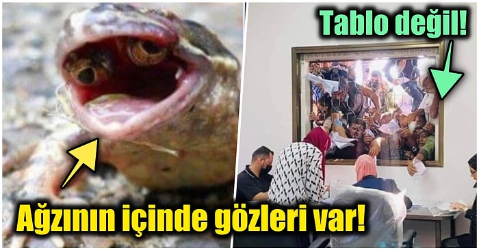 Gördüğünüz Anda Yaşadığınız Hayatı Sorgulatıp Şaşırma Kotanızı Bugünlük Dolduracak 15 Enteresan Gerçek