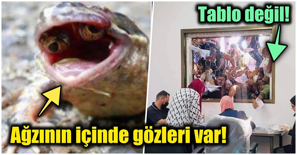 Gördüğünüz Anda Yaşadığınız Hayatı Sorgulatıp Şaşırma Kotanızı Bugünlük Dolduracak 15 Enteresan Gerçek