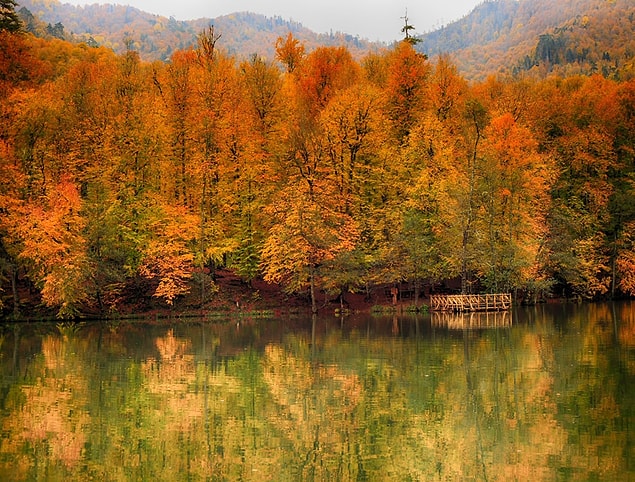 Burayı tablo sanabilirsiniz ama gerçek: Yedigöller, Bolu