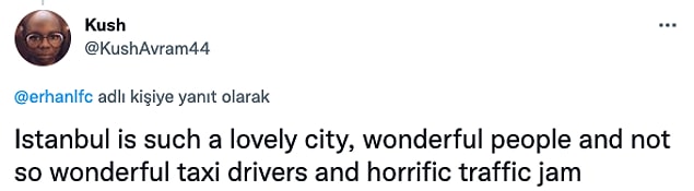7. "İstanbul çok güzel bir şehir, insanları harika ve taksicileri hiç harika değil, trafiği korkunç."