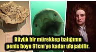 Okumaya Başladığınız Anda Kültürün Sonsuzluğunda Boğulacağınız Birbirinden İlginç Bilgiler