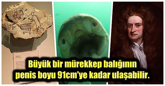 Okumaya Başladığınız Anda Kültürün Sonsuzluğunda Boğulacağınız Birbirinden İlginç Bilgiler