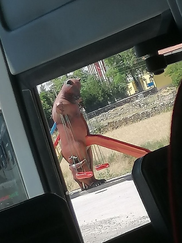 12. Yok artık! Kelimelerin bittiği yerdeyiz...