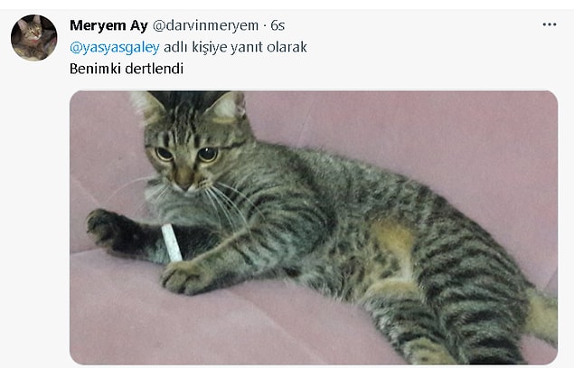 Ekmek elden su gölden yaşayan hayvanlarımızın bu durumdan haberi yok tabii.