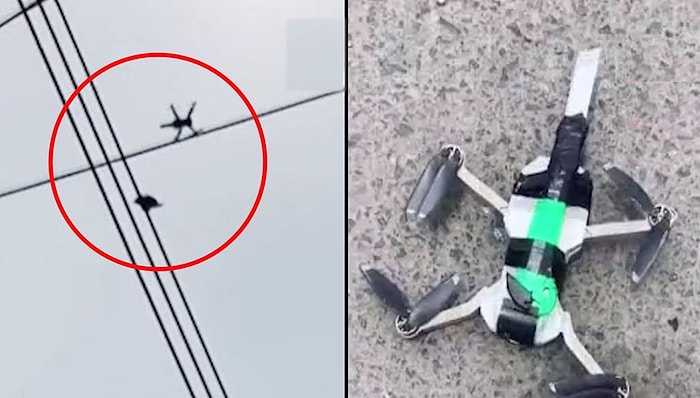 Elektrik Teline Asılı Kalan Güvercini Bıçak Bağlanan Drone ile Kurtaran Güzel İnsanlar