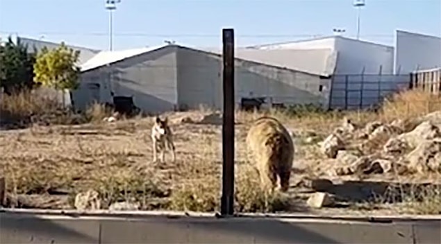 Kayseri Büyükşehir Belediyesi Çevre Koruma ve Kontrol Daire Başkanı Buket Ergin ise ANKA Haber Ajansı’na; olayın tamamen bir hayal ürünü olduğunu söyledi.