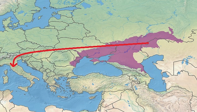 Etrüskler de Romalılar gibi Karadeniz-Hazar steplerinden geldi.