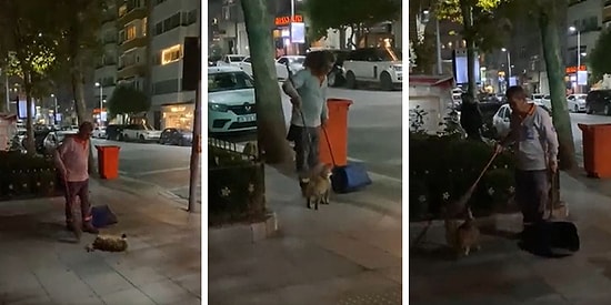 Belediye İşçisine Sırtını Kaşıtmak İçin Dört Dönen Kedinin İçinizi Isıtacak Görüntüleri