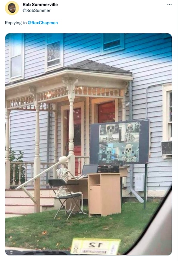 10. Досадное напоминание о том, что я могу работать через Zoom, пока не умру: