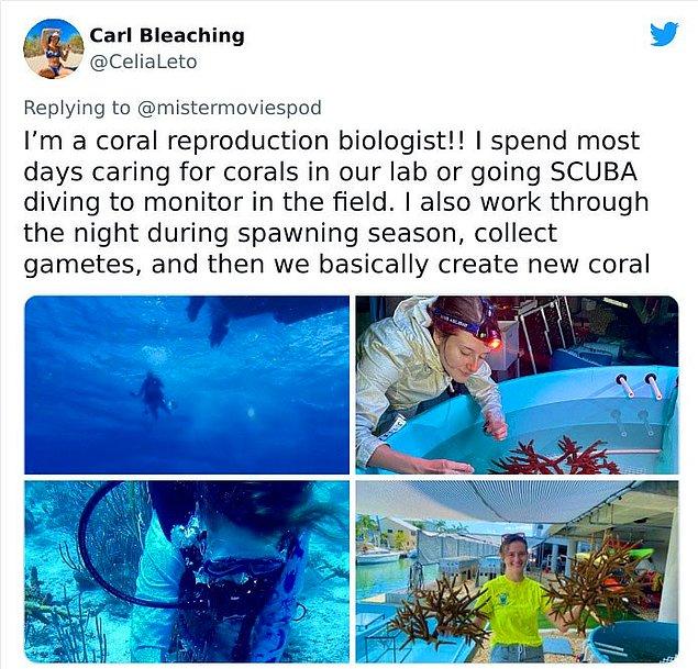 1. "Mercan üreme biyolojistiyim! Çoğu günümü laboratuvardaki mercanlara bakarak ya da sahada tüple dalış yaparak geçiriyorum...