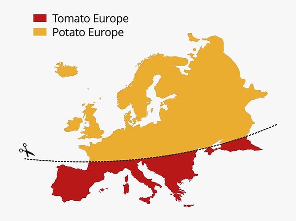 5. "Avrupa'da domates-patates çizgisi adı verilen popüler bir kültür ayrımı var. Bir tarafta salatalardan pizzaya neredeyse tüm yemekler patatesle yapılıyor. Ben de patates tarafında olduğum için haşlamalardan pürelere çok farklı şekilde patates yiyerek büyüdüm."