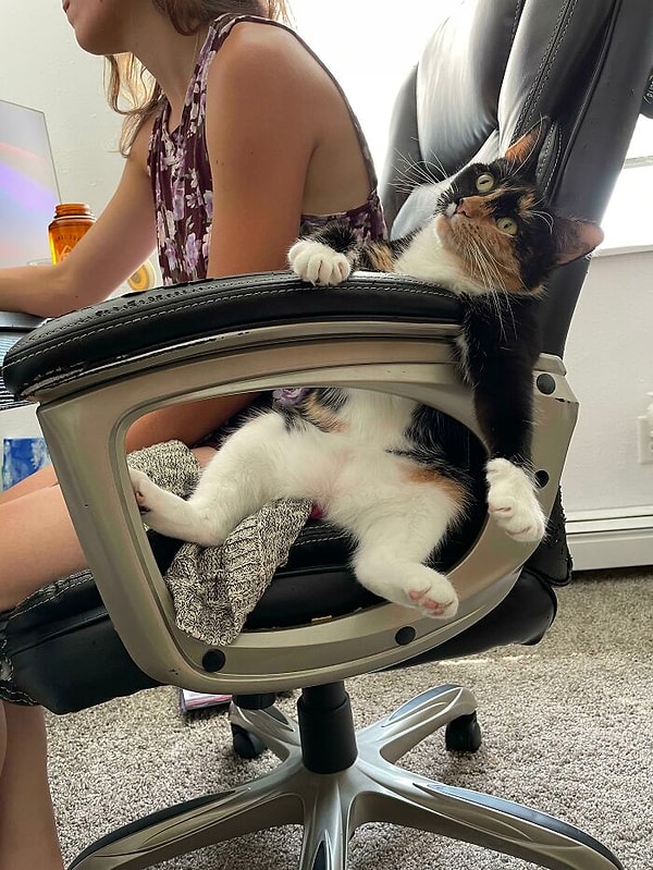 11. Утро понедельника