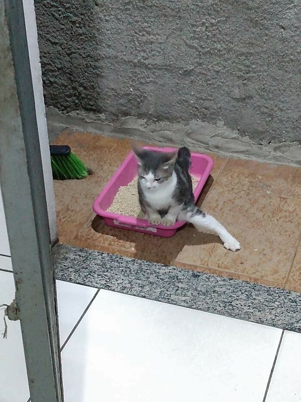 12. Какая растяжка!