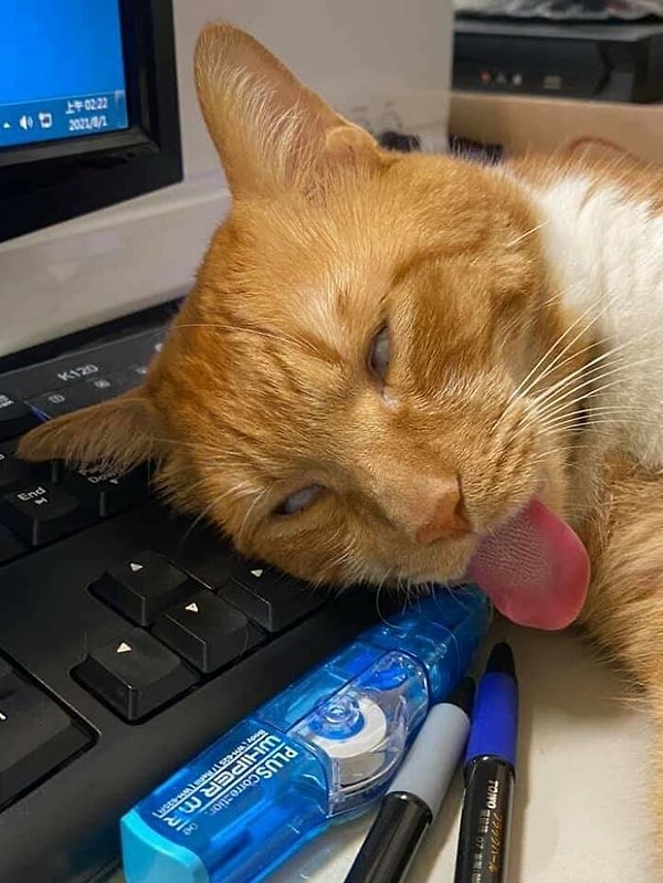 14. Загрузка обновления