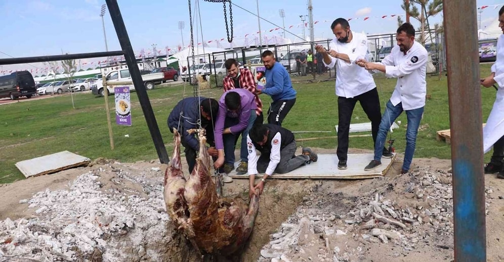 Bu Sevdadan Vaz mı Geçseniz? 2 Tonluk Danayı Daha Önce Ateşte Yakan Aşçılar Şimdi de Çukura Düşürdüler