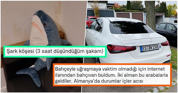 Evil Kahvaltıcı Eşref Amca'dan Kafede Oturup Çay Bekleyen Kediye Son 24 Saatin Viral Tweetleri