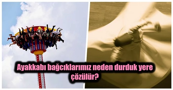 Günlük Hayatımızda Tuvalette Bile Kendimizi Düşünürken Bulduğumuz Soruların Cevaplarını Sizin İçin Bulduk!