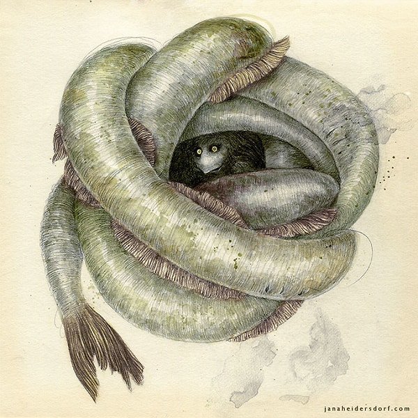 Серра Лубрика