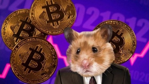 Hamster Coin Kaç TL?