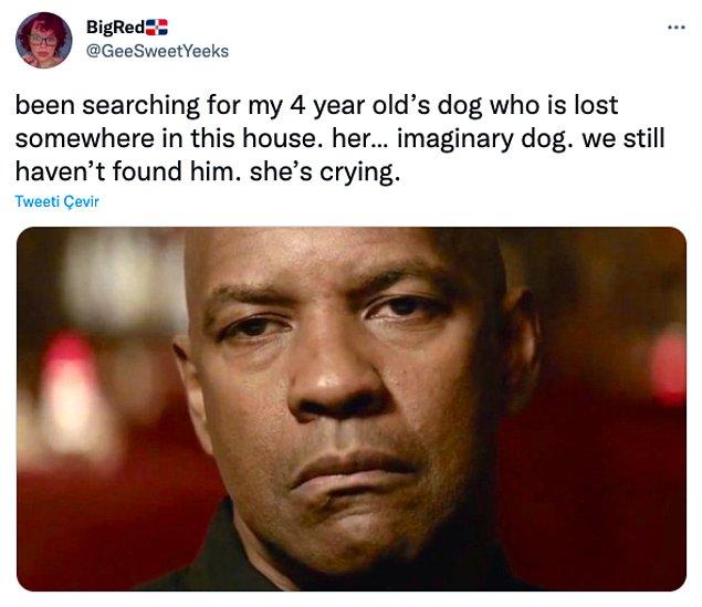 8. "4 yaşındaki çocuğumun evde bir yerde kaybolan köpeğini arıyoruz. Hayali köpeğini. Hala bulamadık. Ağlıyor."