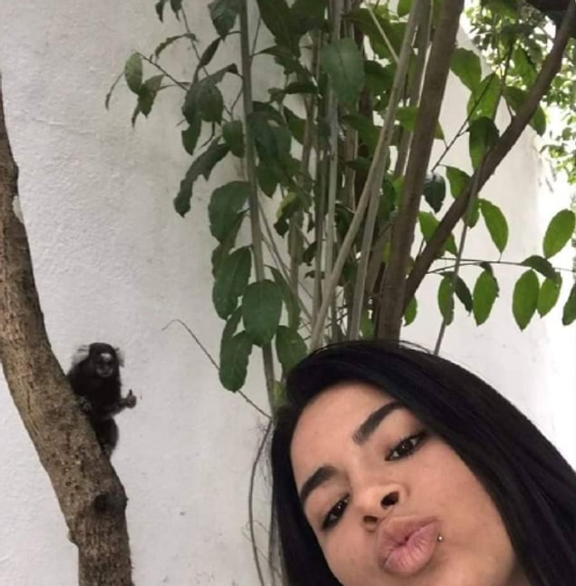 16. "Minik maymunla selfie çektim, galiba maymun da fotoğrafı beğendi." 👍