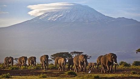 Dünya Meteoroloji Örgütü: Afrika'da Kilimanjaro Dahil Üç Tropik Buz Sahası 20 Yıl İçinde Yok Olacak...